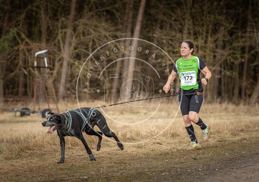 DV3A5402 | Hundefotografie, Tierfotograf, Pfotenfotografie, Fotoshooting Hund, Hunde Portrait, Hundesport, Hundeportraits, Heideshooting, Hunde, Sportfotograf, Hundefotograf, Turnierhundsport, THS,  - Realisiert mit Pictrs.com