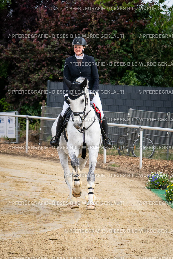 DSC03225 | Pferdegrafie