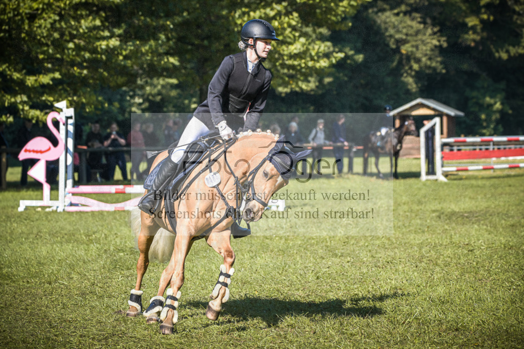 DOS_0780 | Entdecke hochwertige Reitturnierfotos von Foto Oger. Professionell, emotional und authentisch – jetzt Lieblingsmomente im Shop bestellen.Deutschlandweite Turnierfotografie. - Realisiert mit Pictrs.com