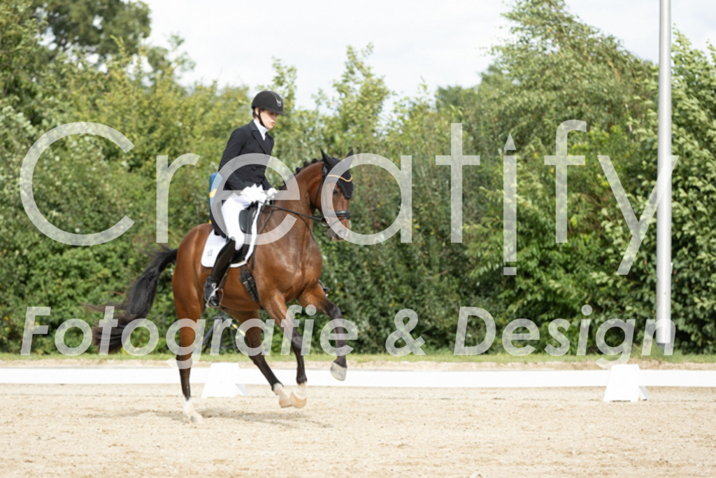 IMG_6584 | Creatify Fotografie