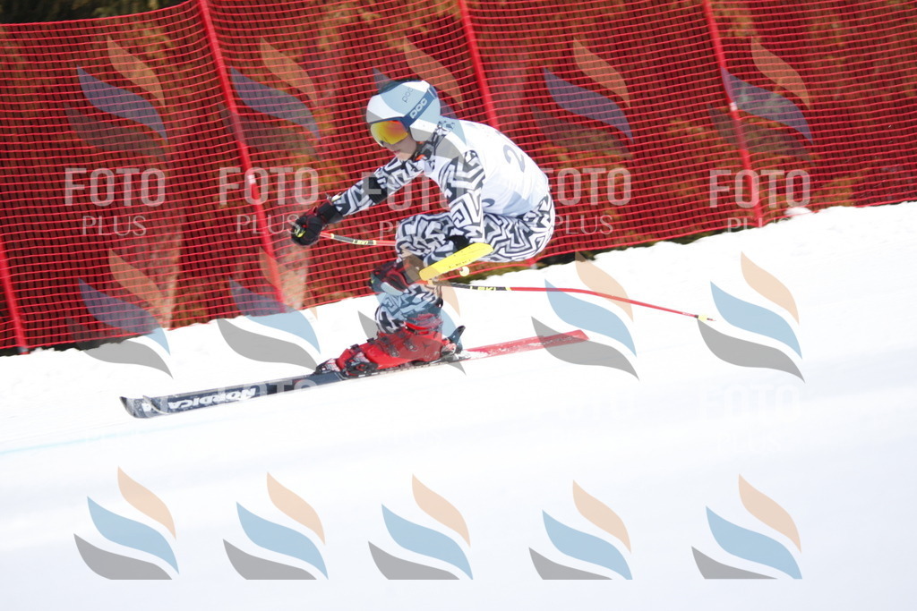 D8061 | holidayphoto