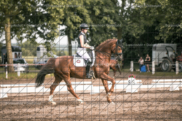_W6A4864 | ronjaprokoschfotografie - Realisiert mit Pictrs.com