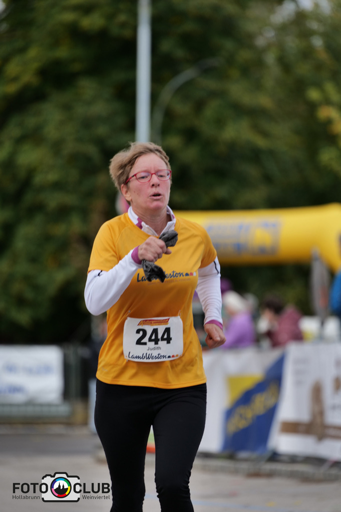 P1038555 | Foto Buchgraber