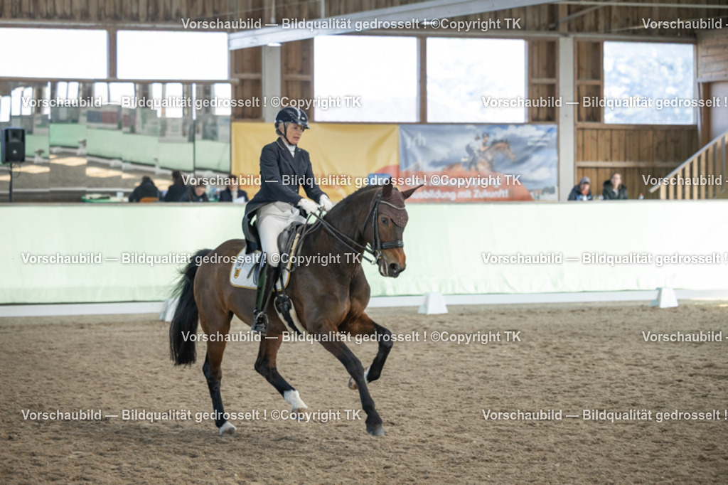 _D5A0497 | Emotionale Pferde- & People-Fotografie rund um Heidelberg, Leimen & Umgebung. Natürliche Fotos von Pferd, Mensch & Familie. Jetzt Termin sichern!