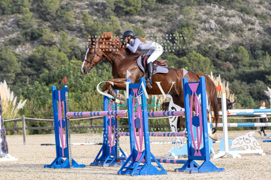 IMG_4570 | s-jay-photography - Realisiert mit Pictrs.com