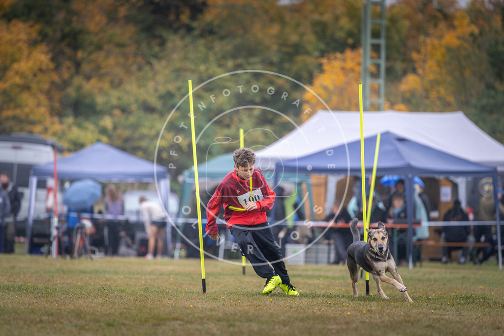 Pfotenfotografie_DV3A0244 | Hundefotografie, Tierfotograf, Pfotenfotografie, Fotoshooting Hund, Hunde Portrait, Hundesport, Hundeportraits, Heideshooting, Hunde, Sportfotograf, Hundefotograf, Turnierhundsport, THS,  - Realisiert mit Pictrs.com