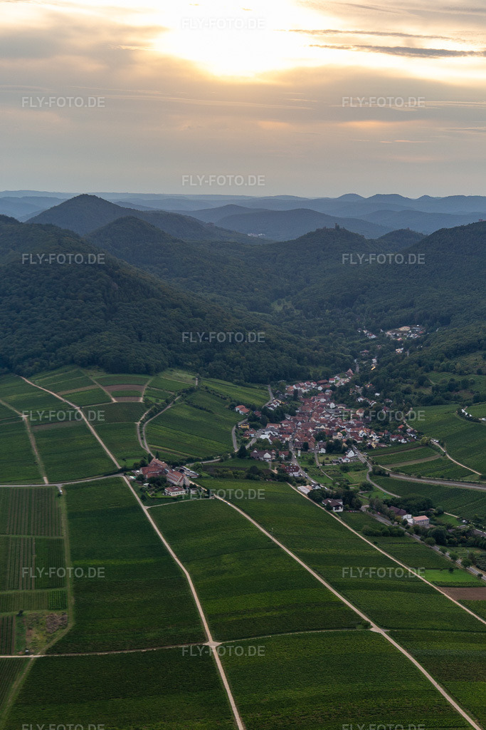 Luftbild: Weinbergs- und Rebstocks- Landschaft der Winzer- Gebiete in Leinsweiler im Bundesland Rheinland-Pfalz in Deutschland. Foto: IMG_128503.jpg vom 21.08.2021 durch Werner Riehm/FLY-FOTO.de