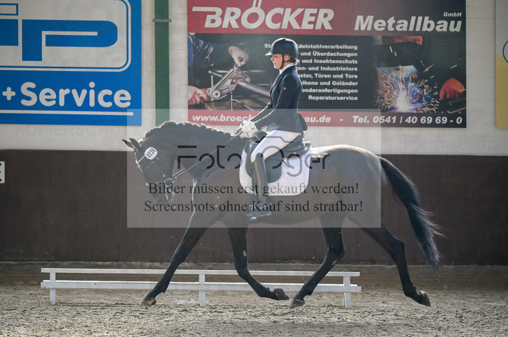 Reitturnier Voxtrup | Entdecke hochwertige Reitturnierfotos von Foto Oger. Professionell, emotional und authentisch – jetzt Lieblingsmomente im Shop bestellen.Deutschlandweite Turnierfotografie. - Realisiert mit Pictrs.com