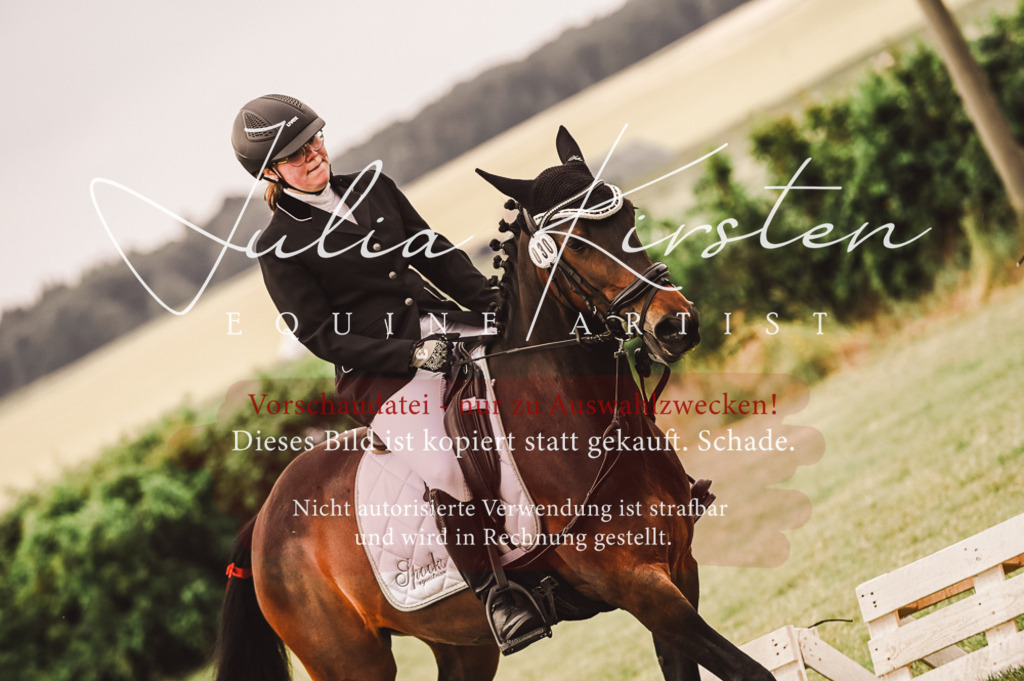 DSC_4931 | Pferde- und Turnierfotografie in Westsachsen. Pferdeportraits, Auftragszeichnungen und intuitive Kunst.
