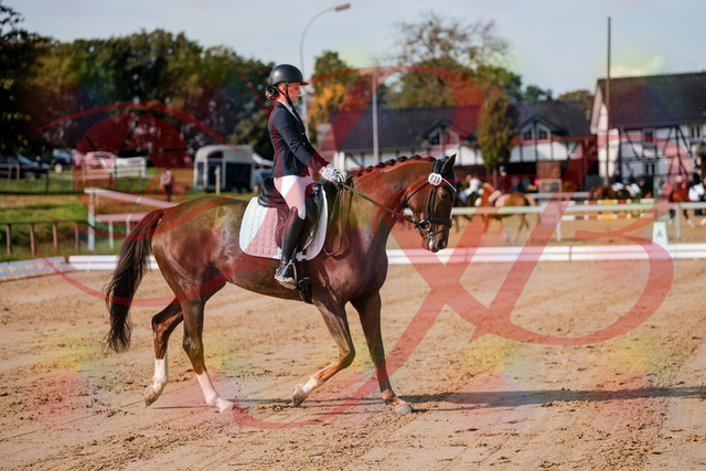 2026_10_03_Siefer-Hof_114722_Z63_25984854 | Professionelle Reitsport-, Turnier- und Eventfotografie von Robert Broda. Galerien mit ausgewählten und bearbeiteten Bildern direkt online ansehen und bestellen.