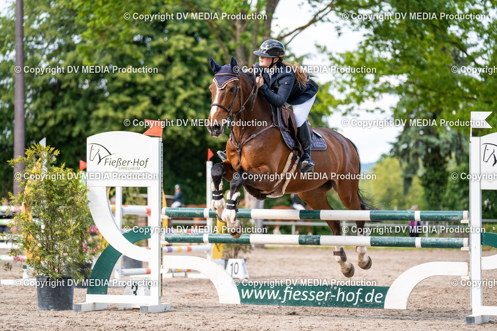 Eppelheim Tag 2-613 | dv-media-shop - Realisiert mit Pictrs.com