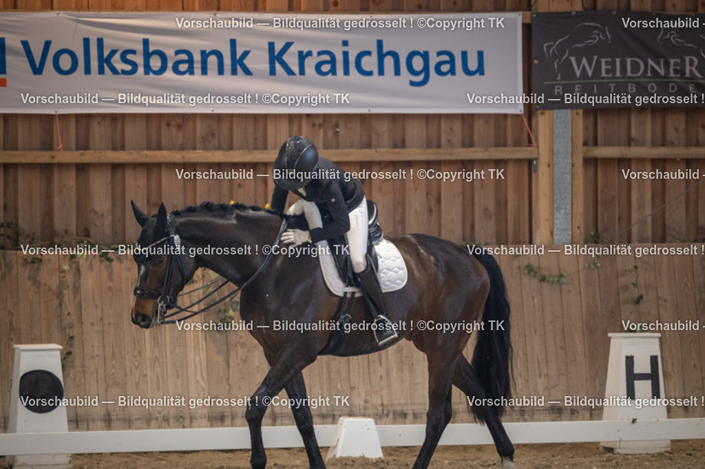 _D5A5861 | Emotionale Pferde- & People-Fotografie rund um Heidelberg, Leimen & Umgebung. Natürliche Fotos von Pferd, Mensch & Familie. Jetzt Termin sichern!