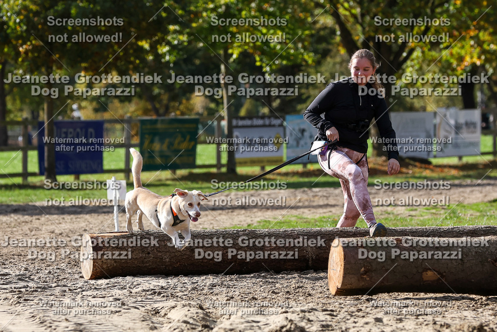 Dog Paparazzi - Strongdog 10-25-5500 | Dog Paparazzi Jeanette Grottendiek Fotografie & Videografie - Realisiert mit Pictrs.com