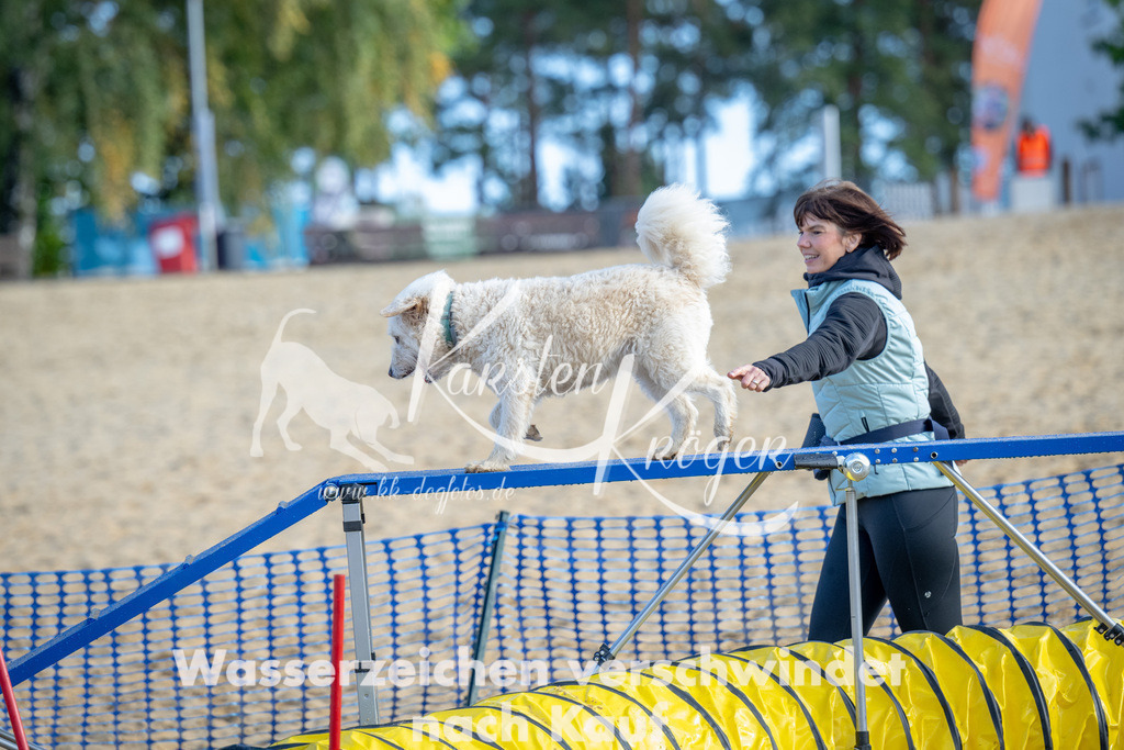 0956_ZZ93144 | kk-dogfotos