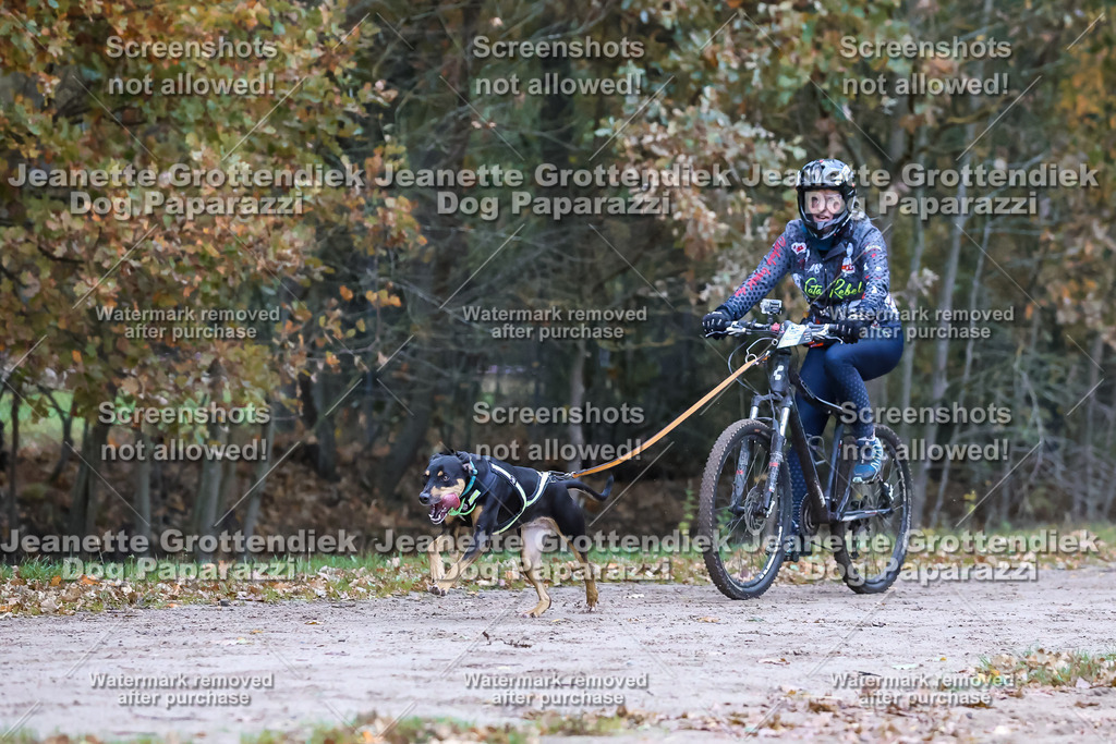Dog Paparazzi - SD CaniX Championship 2025-63 | Dog Paparazzi Jeanette Grottendiek Fotografie & Videografie