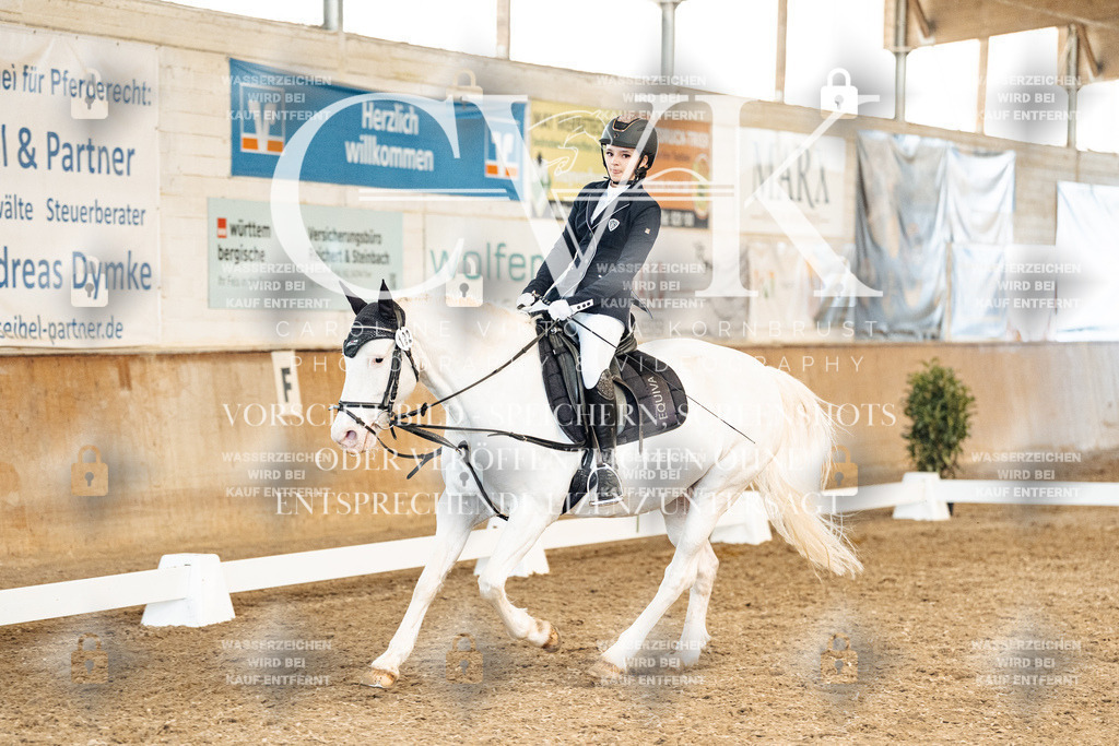 CK900103 | Turnierfotografie Pferdefotografie Trier Rheinland-Pfalz Pferdesport Reitsport Tierfotografie Sportfotografie Pferdevideo Pferdevideografie Equestrianvideography equestrianphotography  - Realisiert mit Pictrs.com