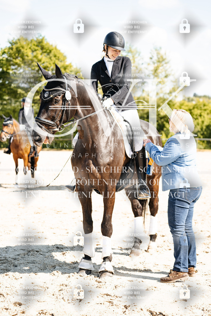 CK703553 | Turnierfotografie Pferdefotografie Trier Rheinland-Pfalz Pferdesport Reitsport Tierfotografie Sportfotografie Pferdevideo Pferdevideografie Equestrianvideography equestrianphotography  - Realisiert mit Pictrs.com