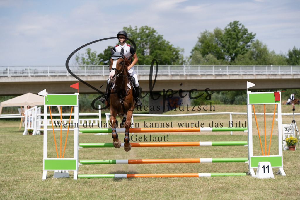 A7V01935 | Pferdefotograf