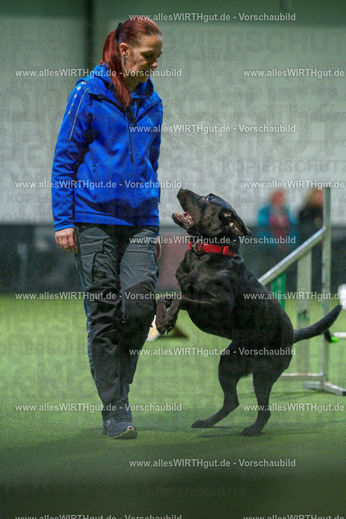 7R504166 | Professionelle Tierfotografie in Mönchengladbach von Daniel Wirth (allesWIRTHgut). Liebevolle & natürliche Bilder von Hunden & Katzen für unvergessliche Erinnerungen.