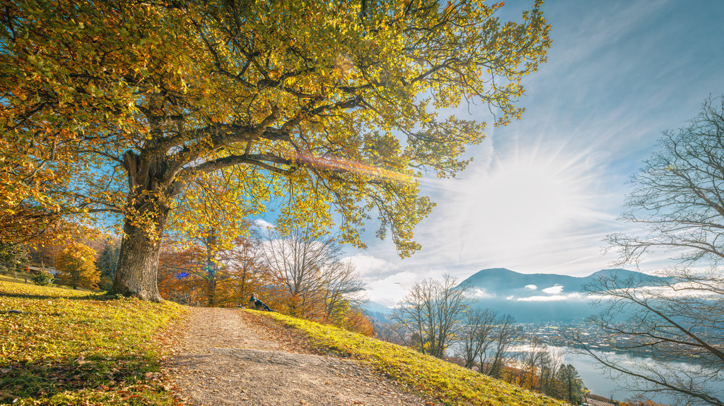 Panoramablick über den herbstlichen Leeberg und den Tegernsee und Rottach-Egern | Das Bild zeigt einen Blick vom Leeberg über den herbstlichen Tegernsee in Oberbayern, Deutschland.Im Hintergrund erhebt sich markant der Wallberg (1.723 m) über der Gemeinde Rottach-Egern, der zu den bekanntesten Bergen der Bayerischen Voralpen gehört - Realisiert mit Pictrs.com