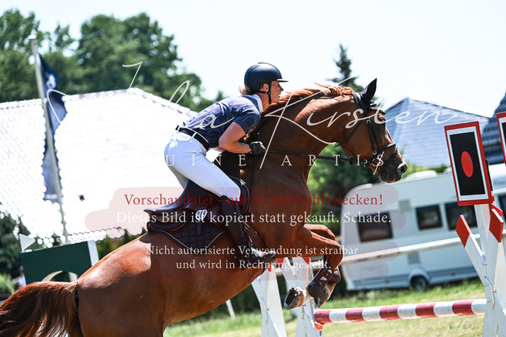 DSC_0131 | Pferde- und Turnierfotografie in Westsachsen. Pferdeportraits, Auftragszeichnungen und intuitive Kunst.
