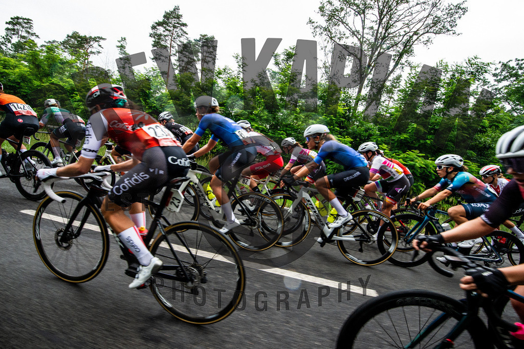 _DSC4978 | Drew Kaplan Photography