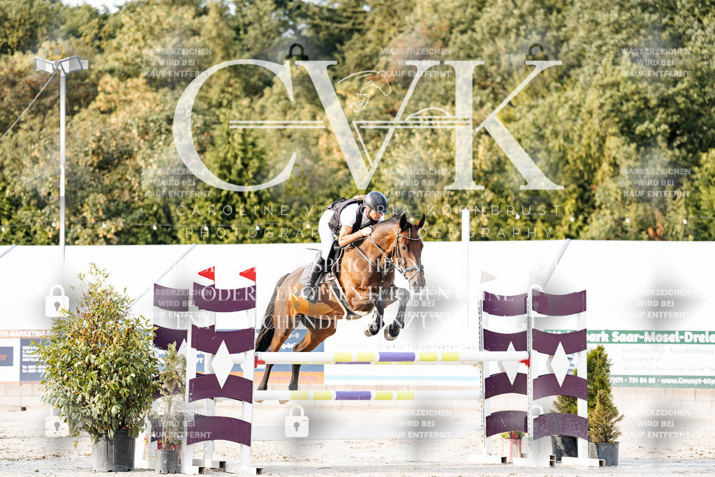 CK903419 | Turnierfotografie Pferdefotografie Trier Rheinland-Pfalz Pferdesport Reitsport Tierfotografie Sportfotografie Pferdevideo Pferdevideografie Equestrianvideography equestrianphotography  - Realisiert mit Pictrs.com