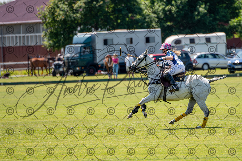 POL_3201 | andre_photographic