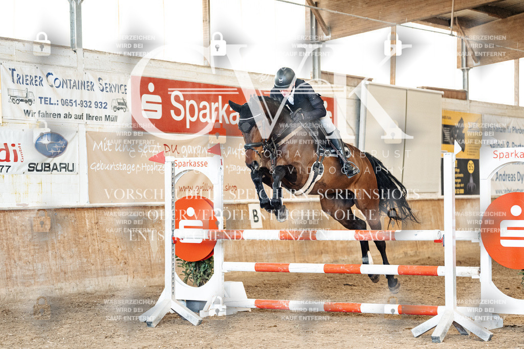 CK905278 | Turnierfotografie Pferdefotografie Trier Rheinland-Pfalz Pferdesport Reitsport Tierfotografie Sportfotografie Pferdevideo Pferdevideografie Equestrianvideography equestrianphotography  - Realized with Pictrs.com