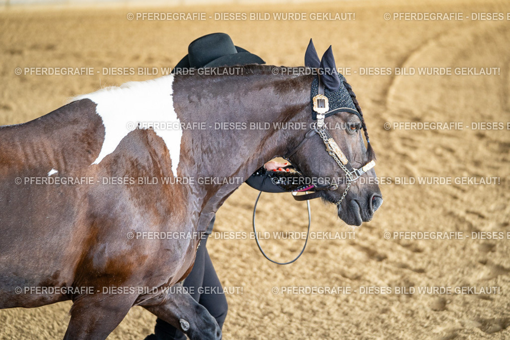 DSC07545 | Pferdegrafie