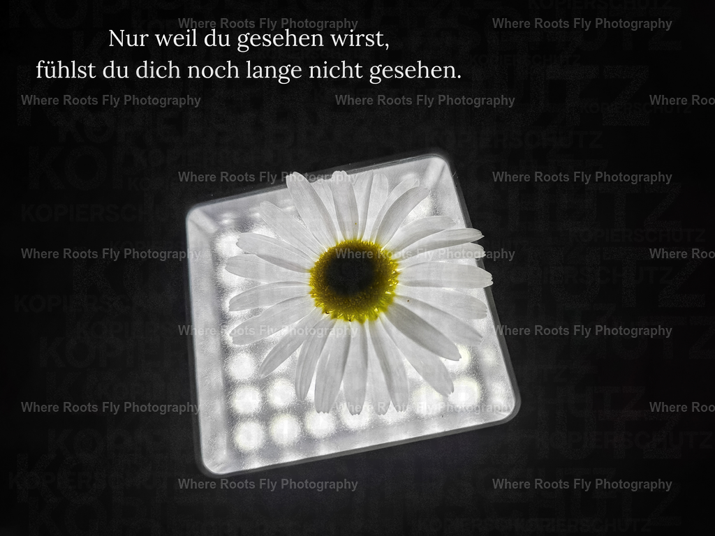 Affirmationskarten - 1 | mtkfoto_ - Realisiert mit Pictrs.com