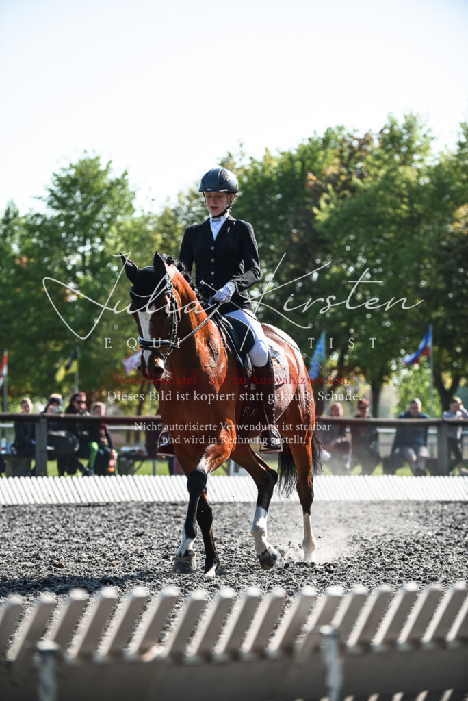 DSC_8652 | Pferde- und Turnierfotografie in Westsachsen. Pferdeportraits, Auftragszeichnungen und intuitive Kunst.