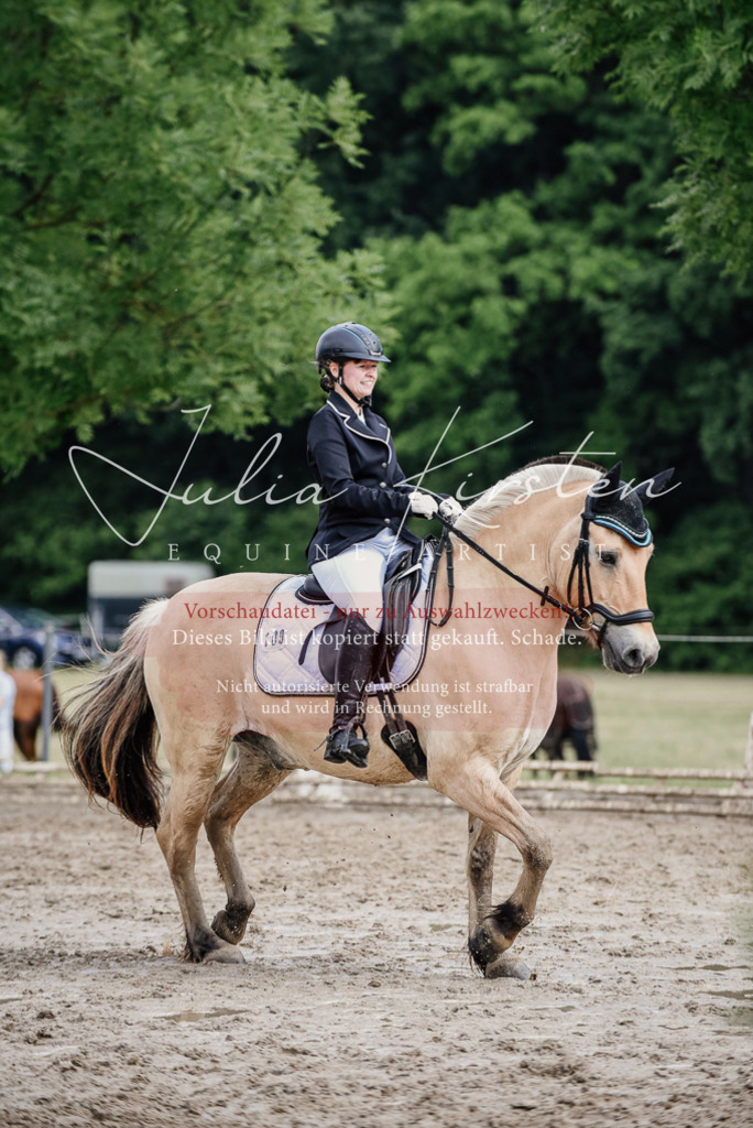 DSC_1715 | Pferde- und Turnierfotografie in Westsachsen. Pferdeportraits, Auftragszeichnungen und intuitive Kunst.