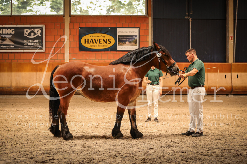 SaFL00134 | Leoni Ertmer Photography - Realisiert mit Pictrs.com