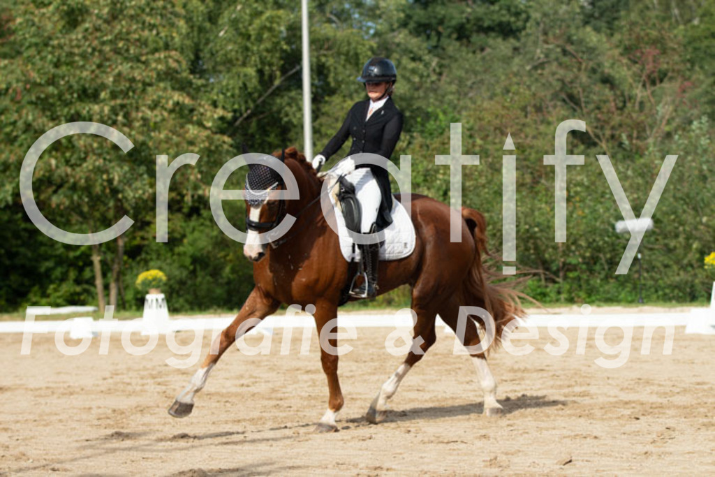 IMG_4243 | Creatify Fotografie