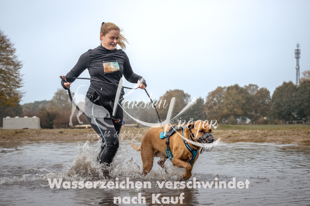1115_ZZ93702 | kk-dogfotos