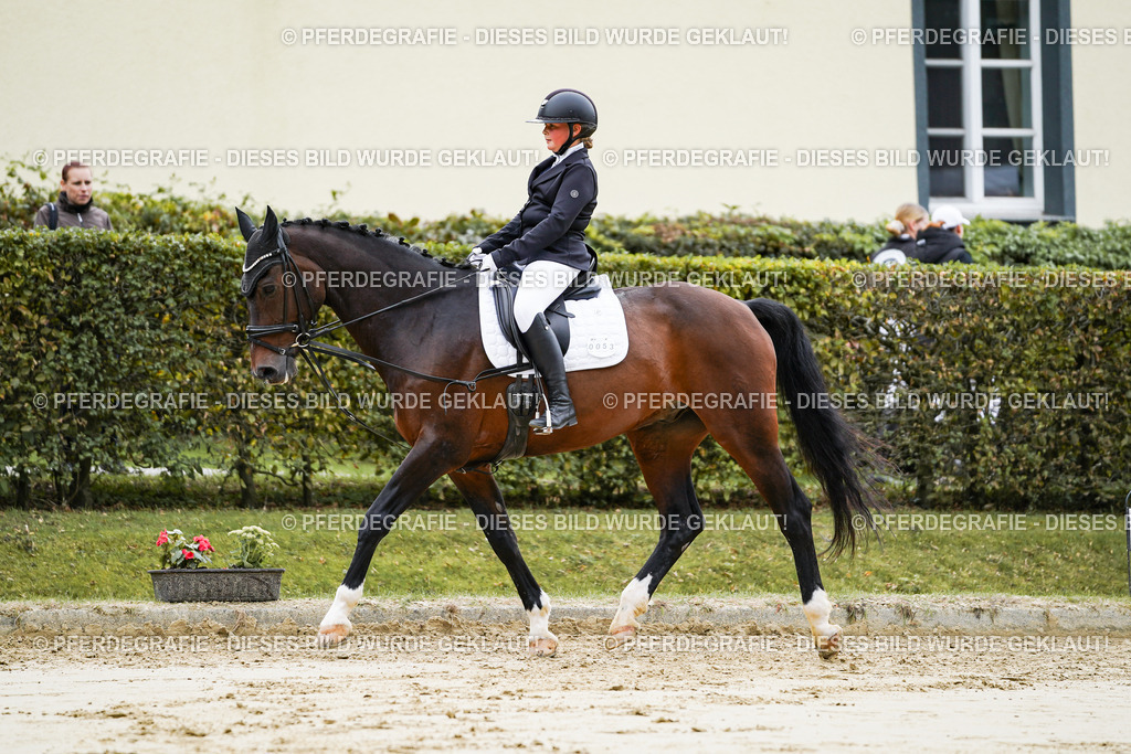 DSC04724 | Pferdegrafie