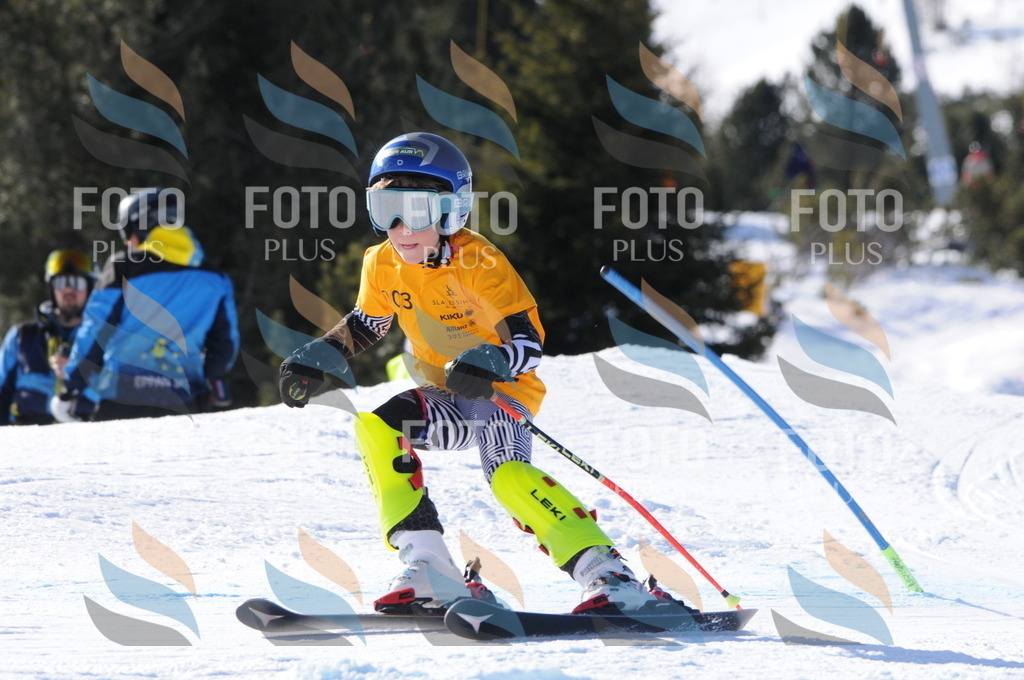 C7092 | holidayphoto