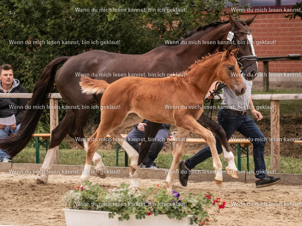 A10I6676 | photographylinaismer - Realisiert mit Pictrs.com