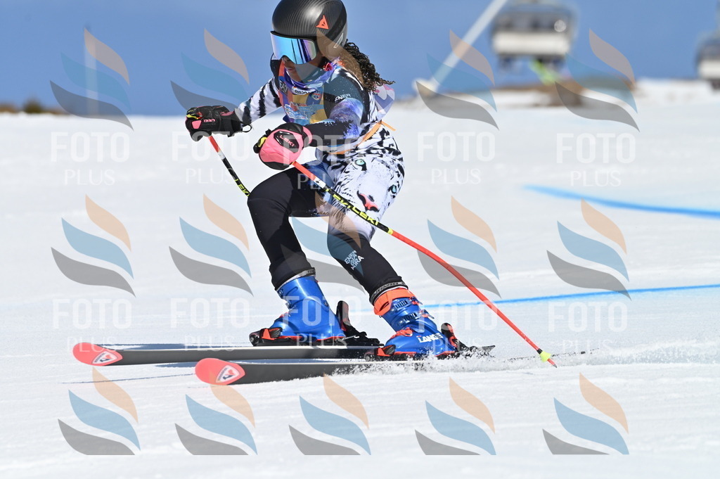 BGV_8615 | holidayphoto