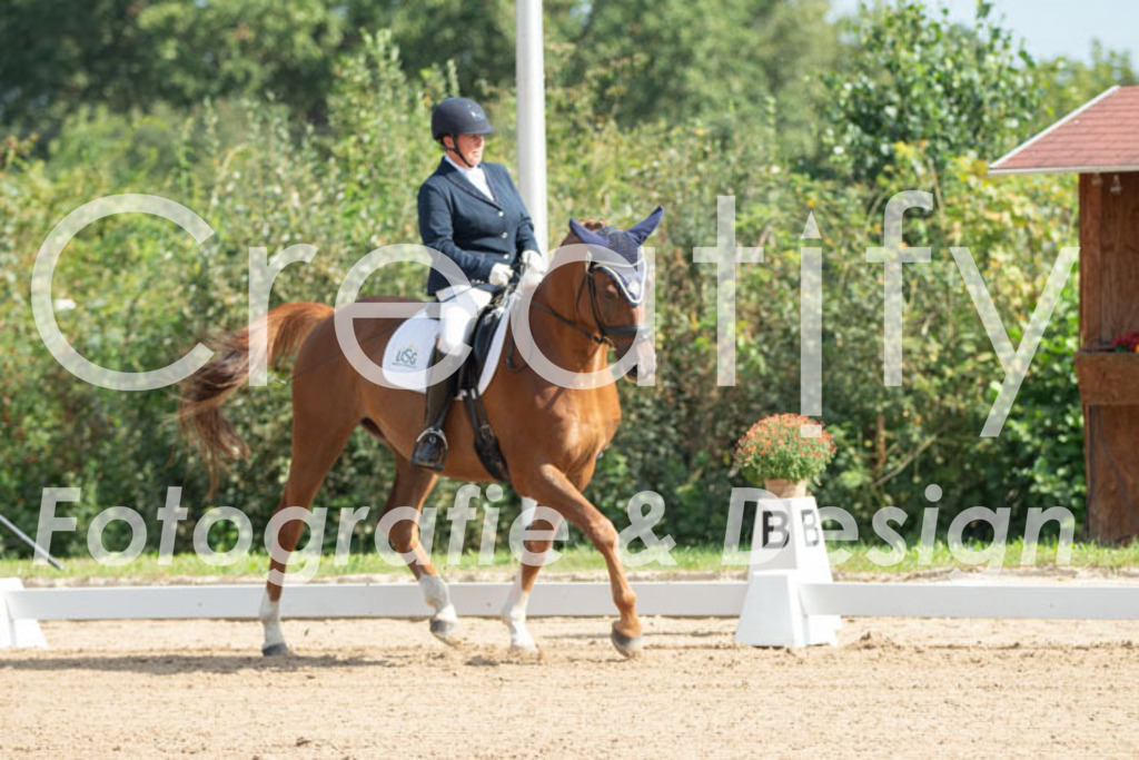 IMG_2349 | Creatify Fotografie