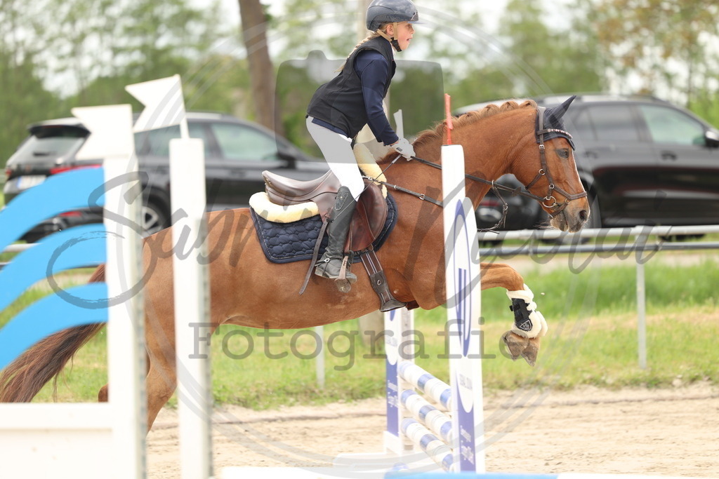 994A8859 | sabrinanicolaifotografie - Realisiert mit Pictrs.com