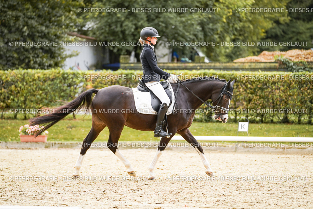 DSC00317 | Pferdegrafie