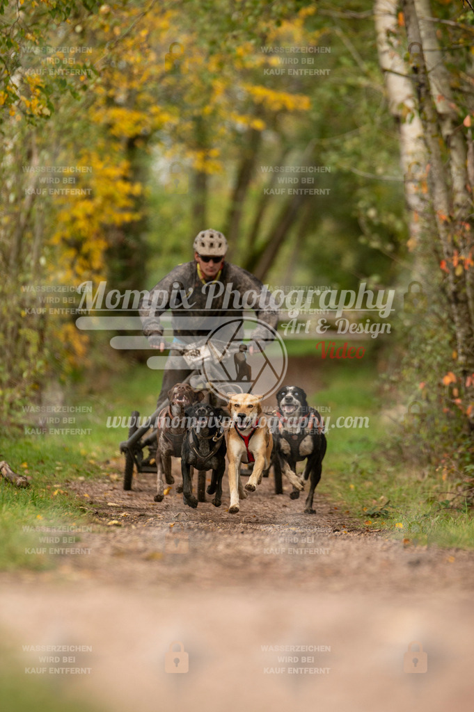 TSB_2023_E4_Kart-13 | mompixphotography