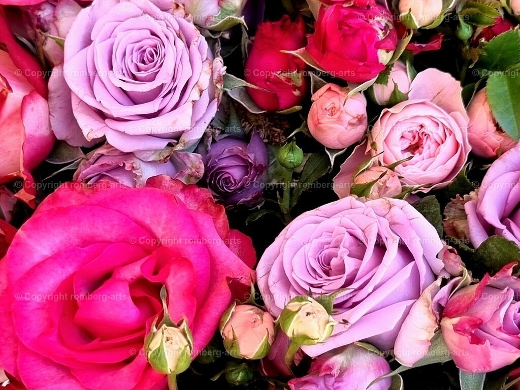 Roses3 | Rosenstrauß, üppiger Blumenstrauß, bunte Blumen, bunter Blumenstrauß, sommerlicher Blumenstrauß