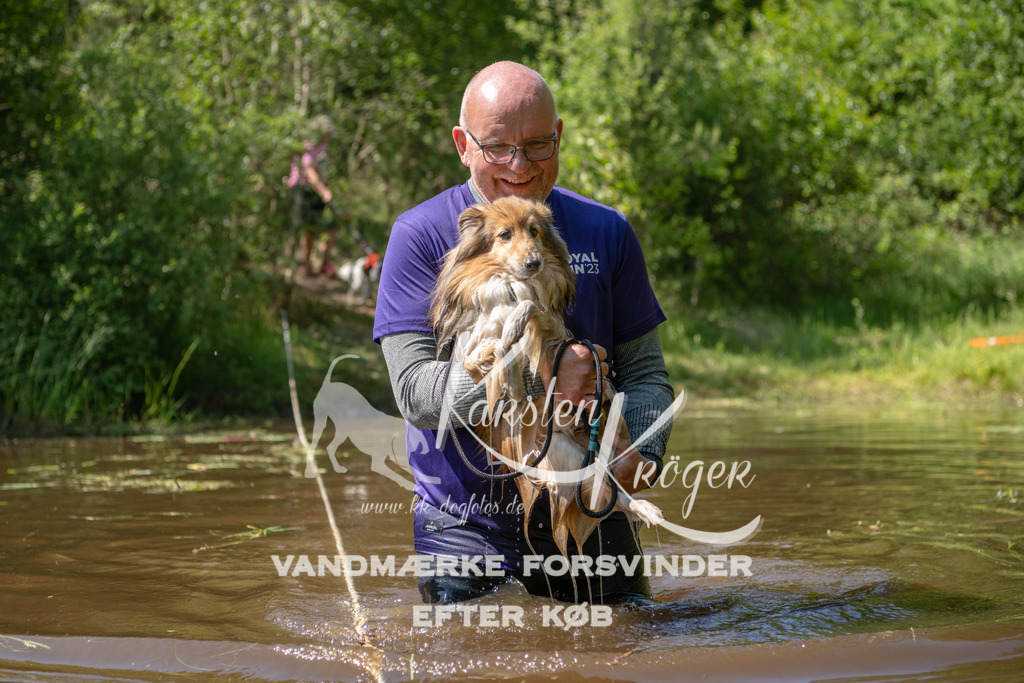 1517DKK992779 | kk-dogfotos