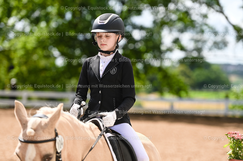 20230716_10-3_Reiter-WB Schritt - Trab - Galopp_0130 | equistock