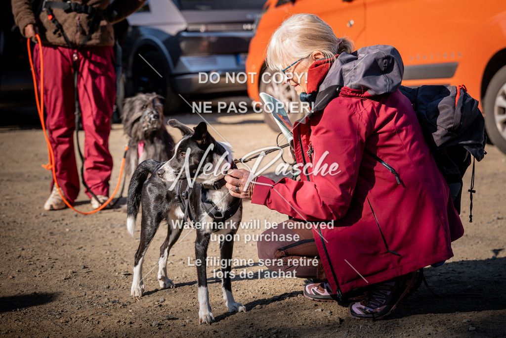 nelerasche_SaCheckIn_174 | nelerasche