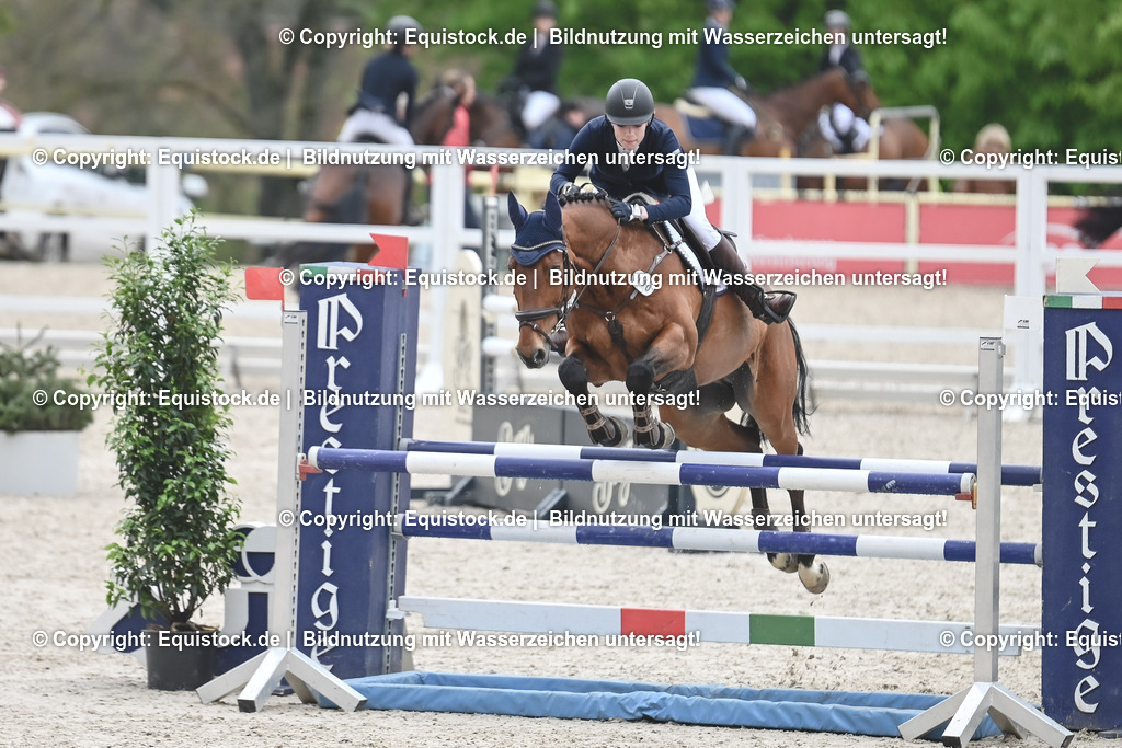 20230514_CCI2_Section1_Springen_0021 | equistock