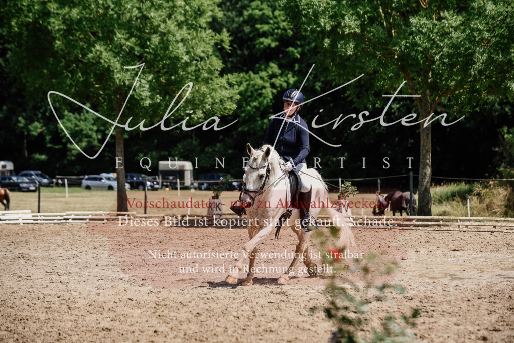 DSC_1841 | Pferde- und Turnierfotografie in Westsachsen. Pferdeportraits, Auftragszeichnungen und intuitive Kunst.